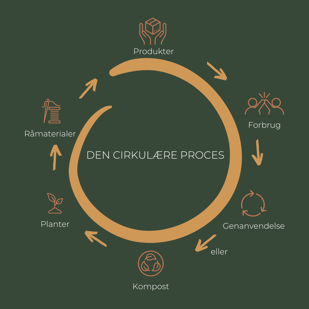 Overskriften er "Den Cirkulære Proces". Cirklen er orange med grøn baggrund. Der illustreres cirkulært forbrug, hvor trinene er følgende: "produkter", "forbrug", "genanvendelse eller kompost", "planter", "råmaterialer" og derefter igen "produkter". 1200x1200 pixels.