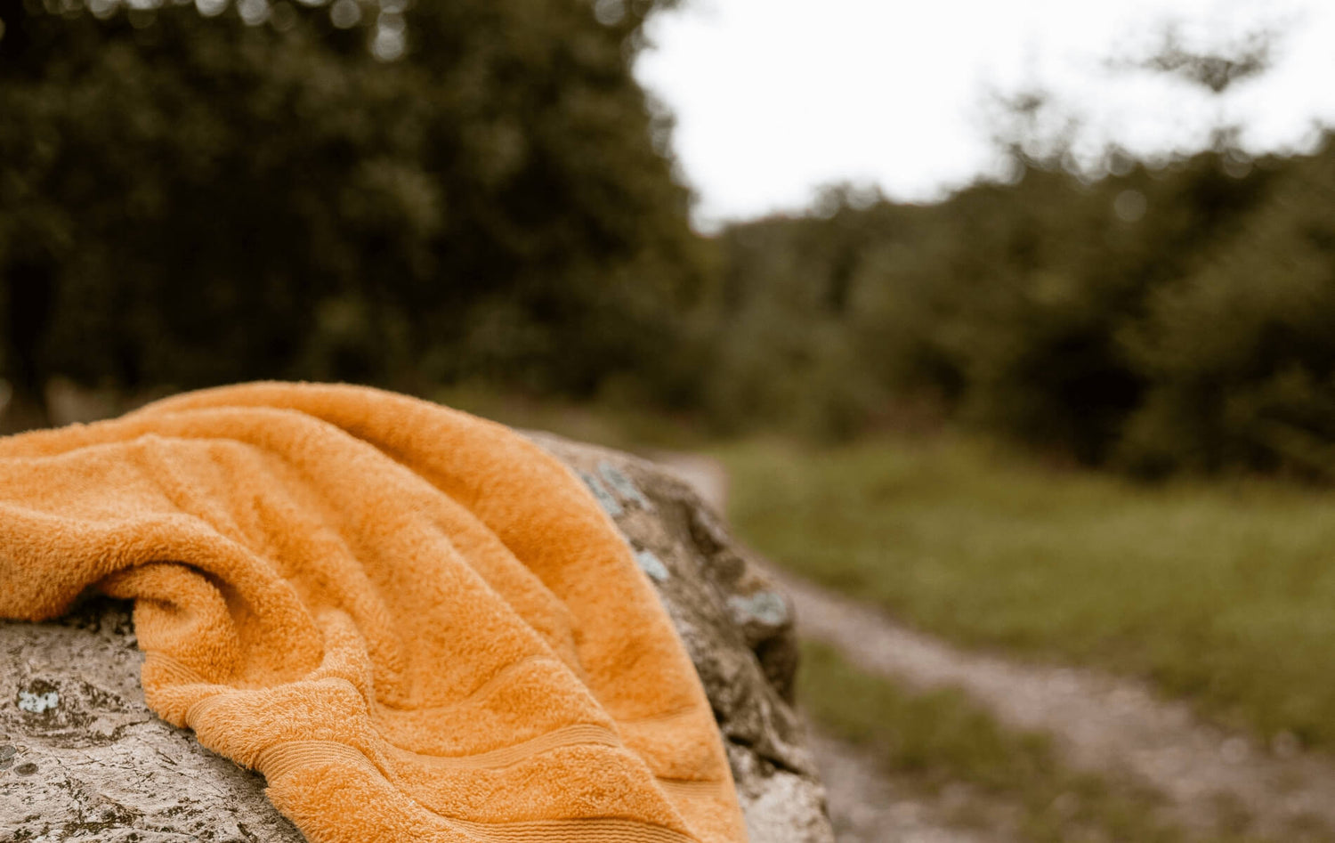 Gult bomuldshåndklæde på en sten i en skov
